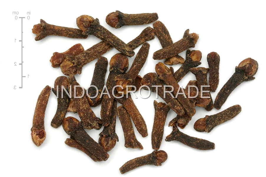 Cloves