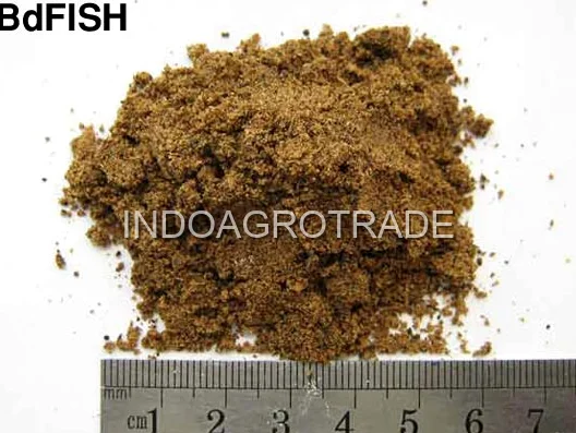 Fish Meal